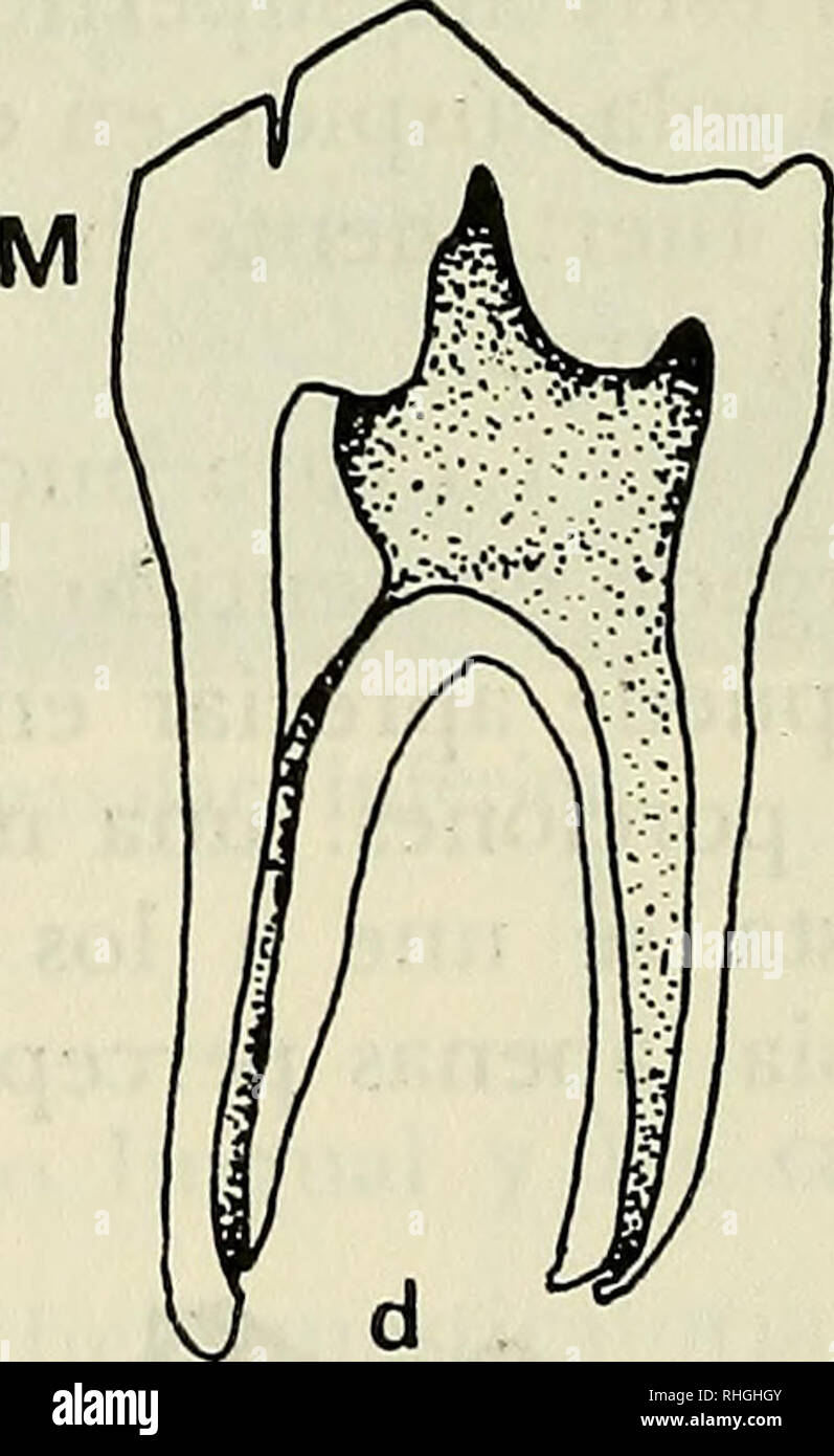 Cresta inferior hires stock photography and images Alamy