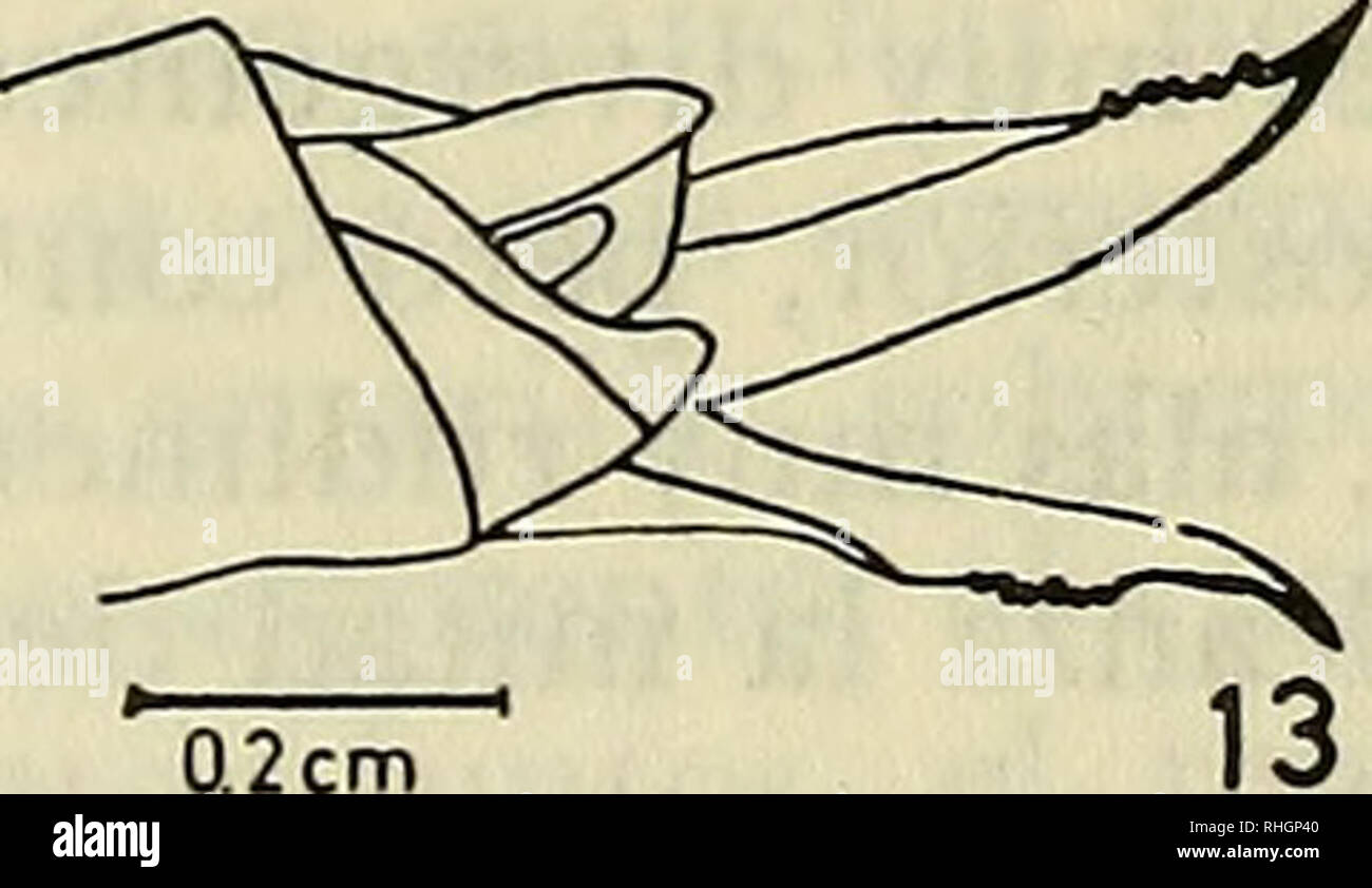 U 28a High Resolution Stock Photography And Images Alamy