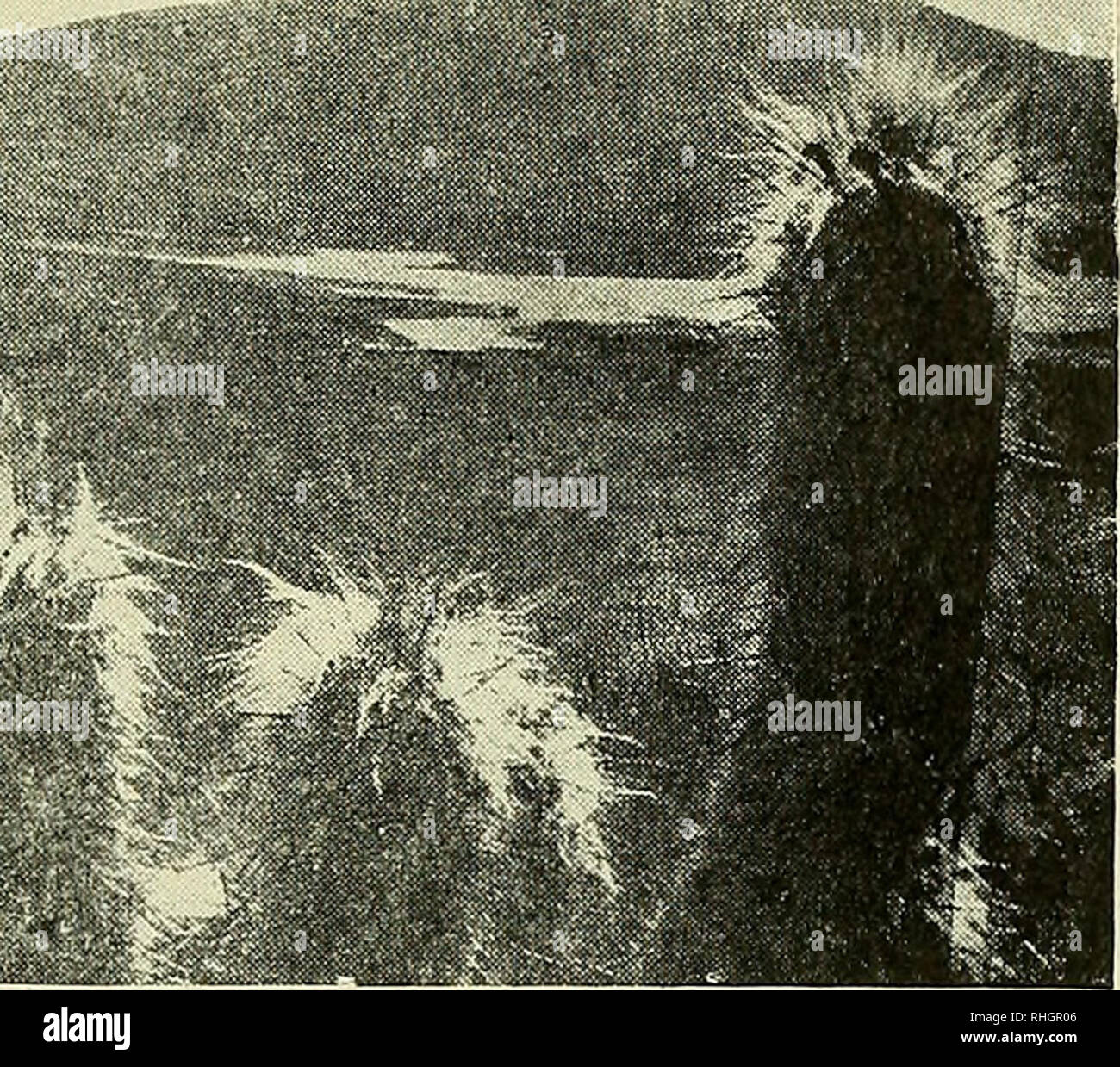 C00 High Resolution Stock Photography And Images Alamy