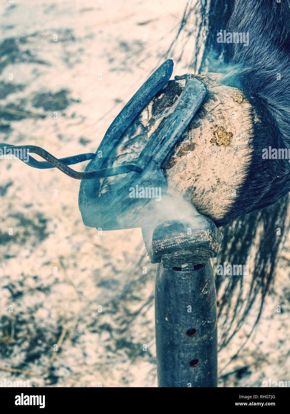 Black smith burning horse shoe with new hot horseshoe to set exact