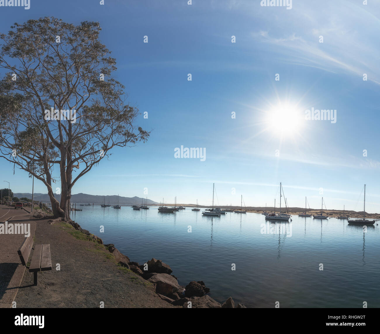 My Image 24