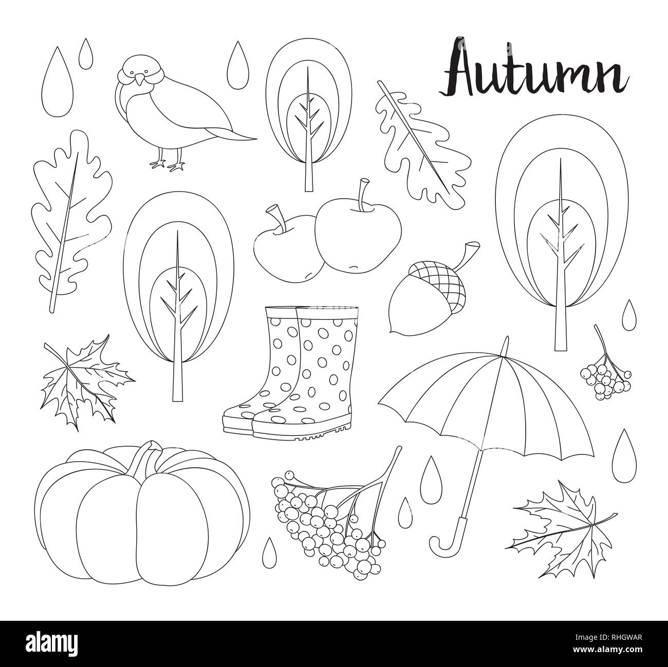 Autumn icon and objects set of leaf, nut, pumpkin, wheat, cloves, hazelnut, walnut, acorn. Vector engraved objects Detailed botanical illustrations Stock Vector