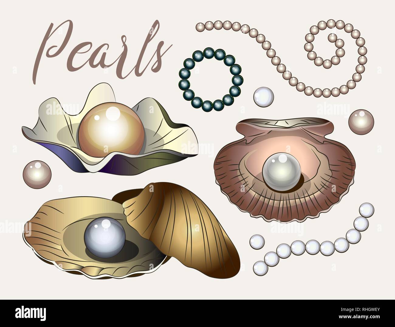 Pearl Shell Motif Set of shell with pearl isolated on light background. Vector ...
