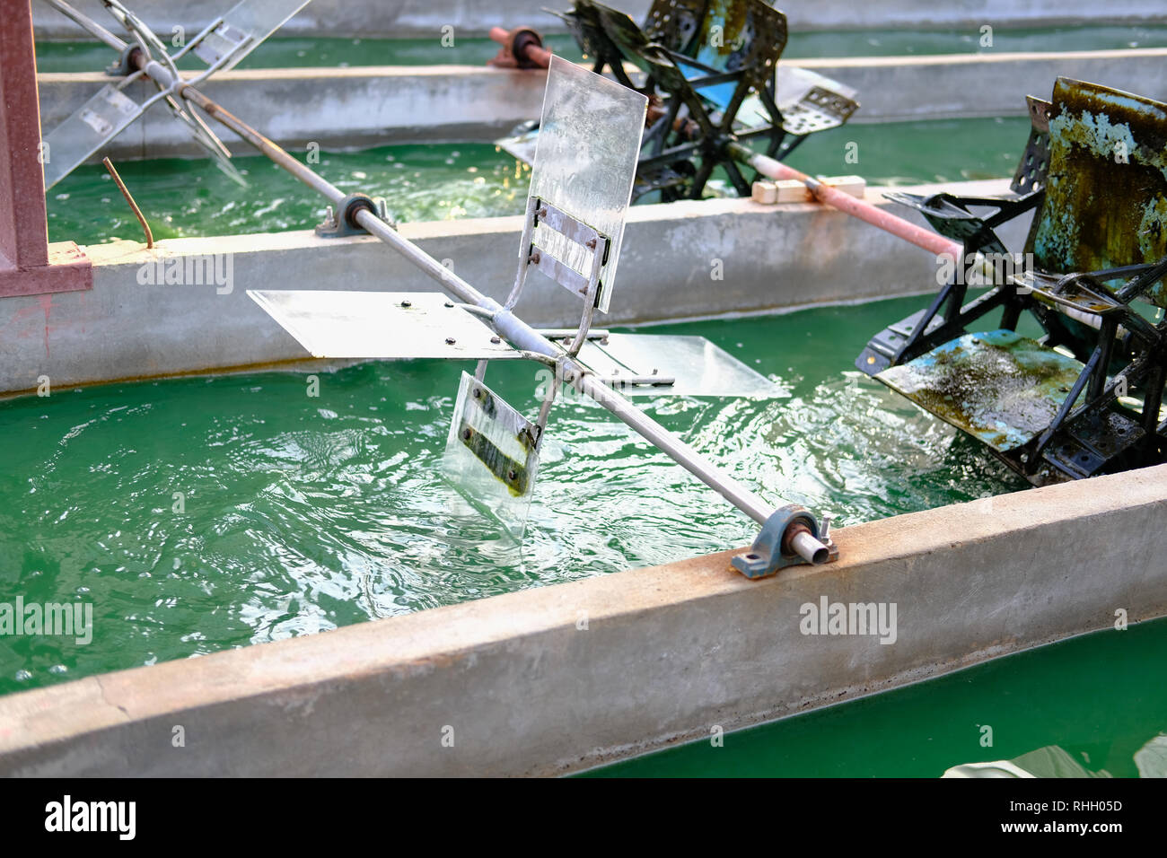 spirulina farm. algae farming for dietary supplement production Stock
