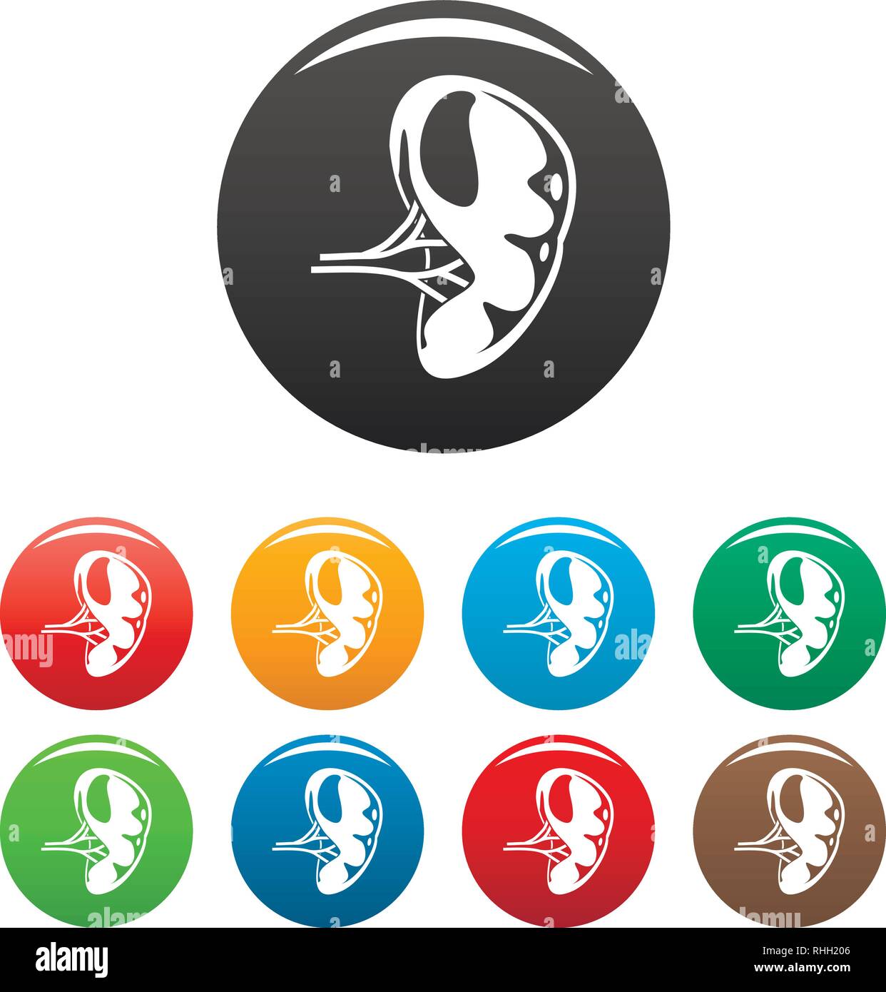 Human spleen icons set 9 color vector isolated on white for any design ...