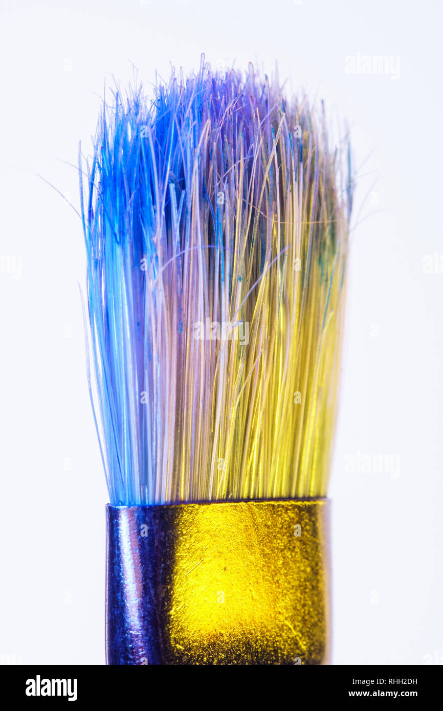 Paint brush with stiff synthetic bristles for oil painting, acrylic, gouache on white background