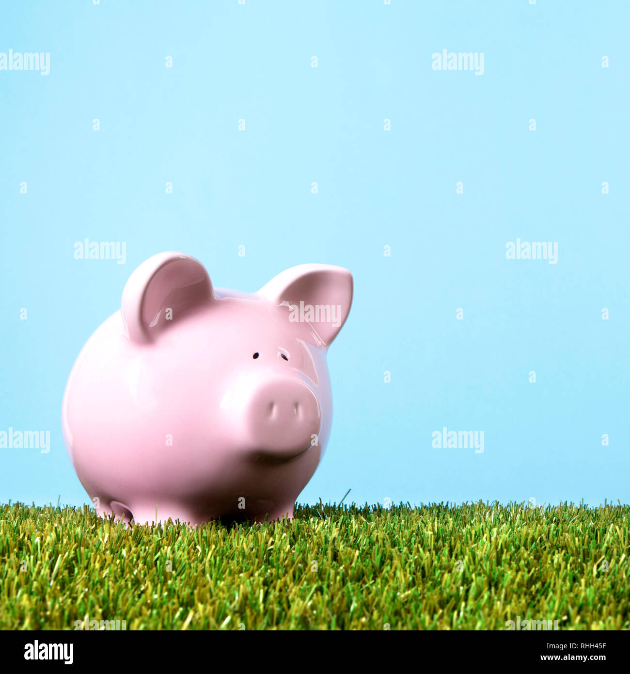 Pink piggy bank grass blue sky Stock Photo