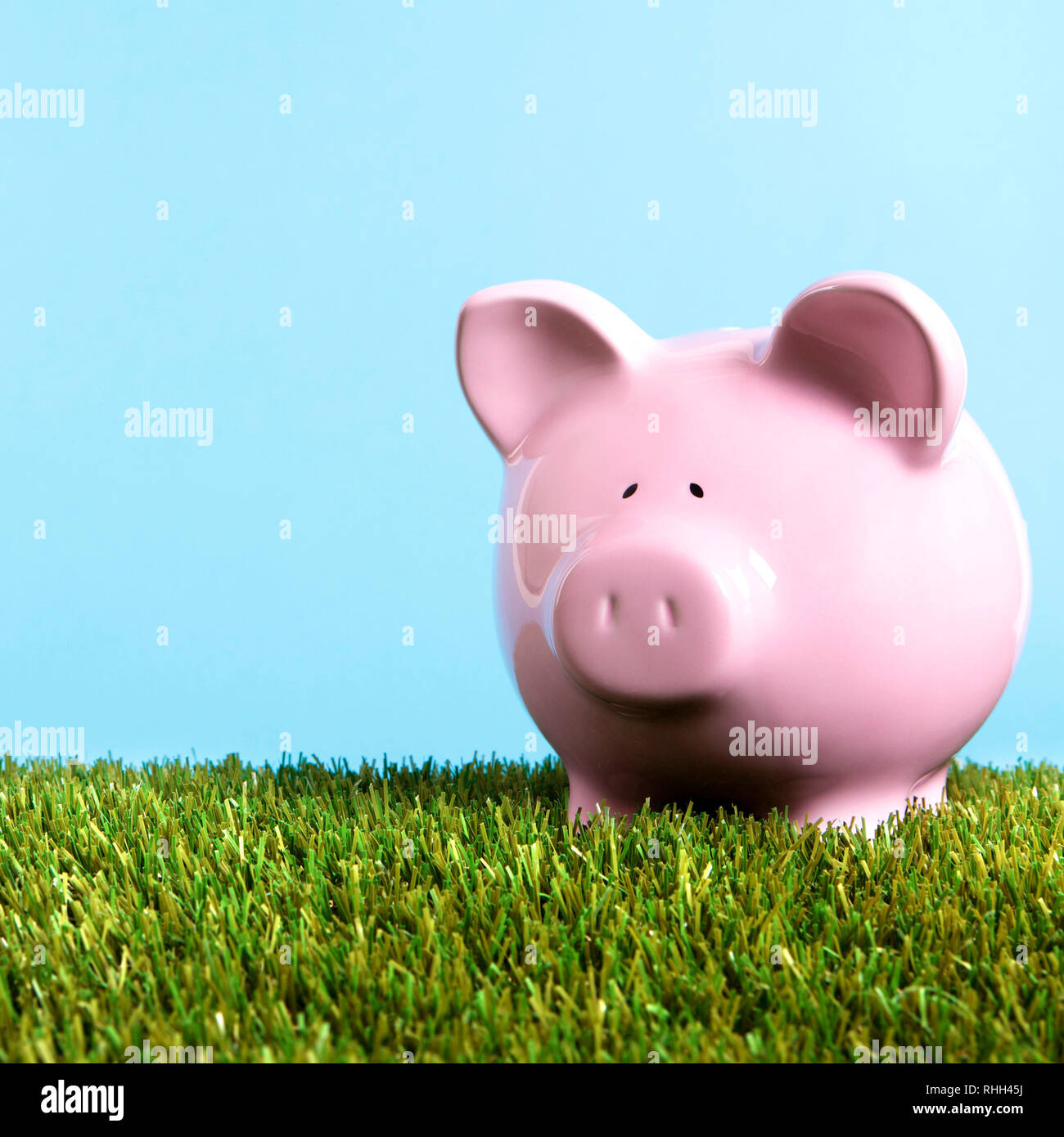 Pink piggy bank grass blue sky square Stock Photo