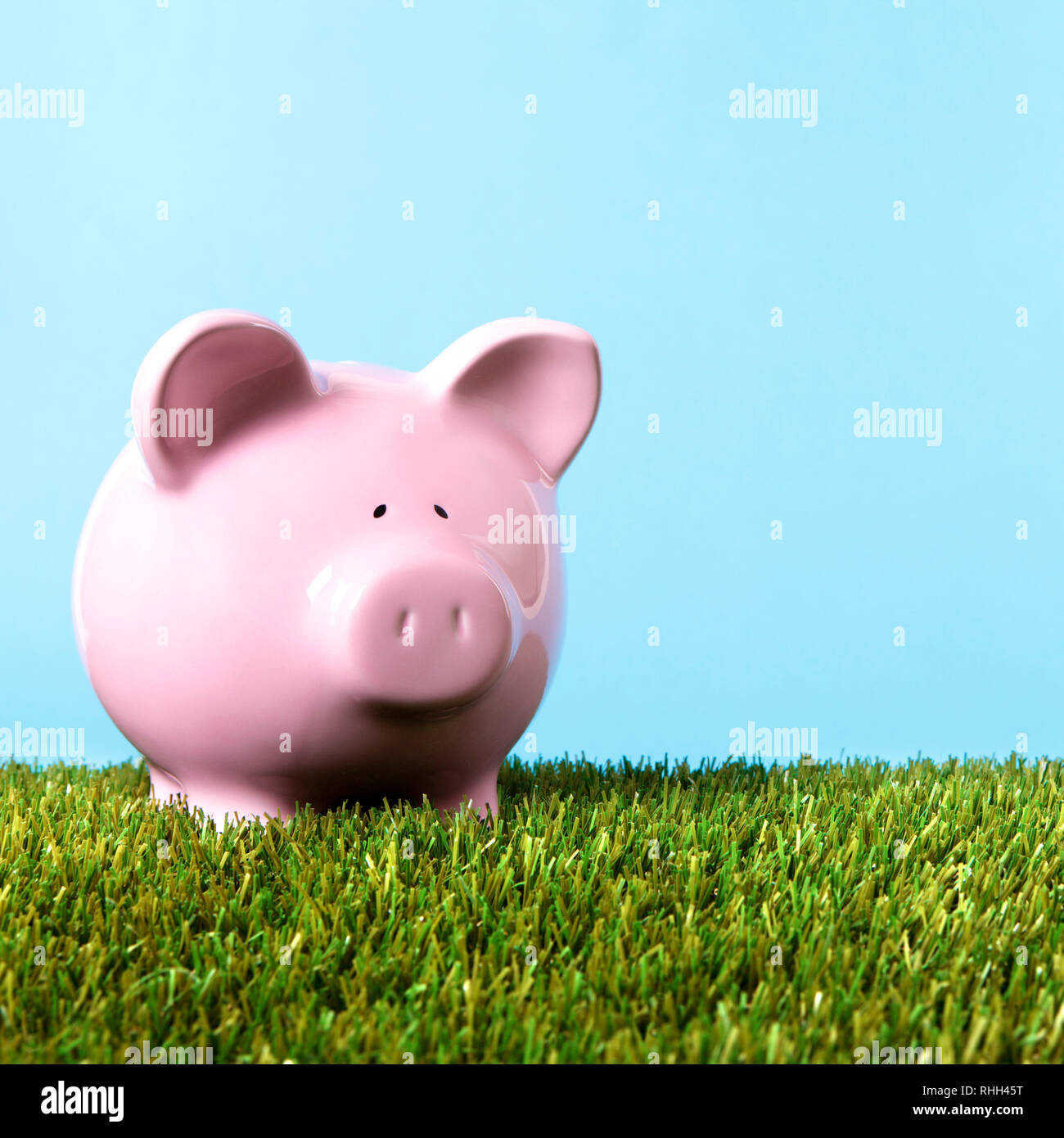 Pink piggy bank grass square Stock Photo