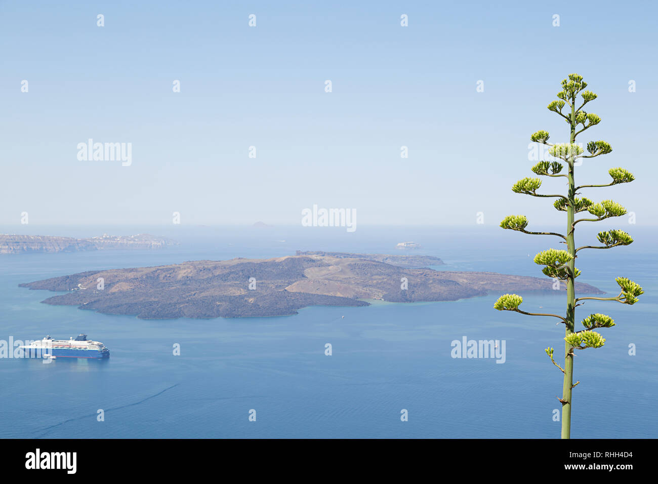 Landscape with aegean sea view. Cruise liner at the sea near the islands.Agave plant flower at the foreground. Santorini island, Greece Stock Photo