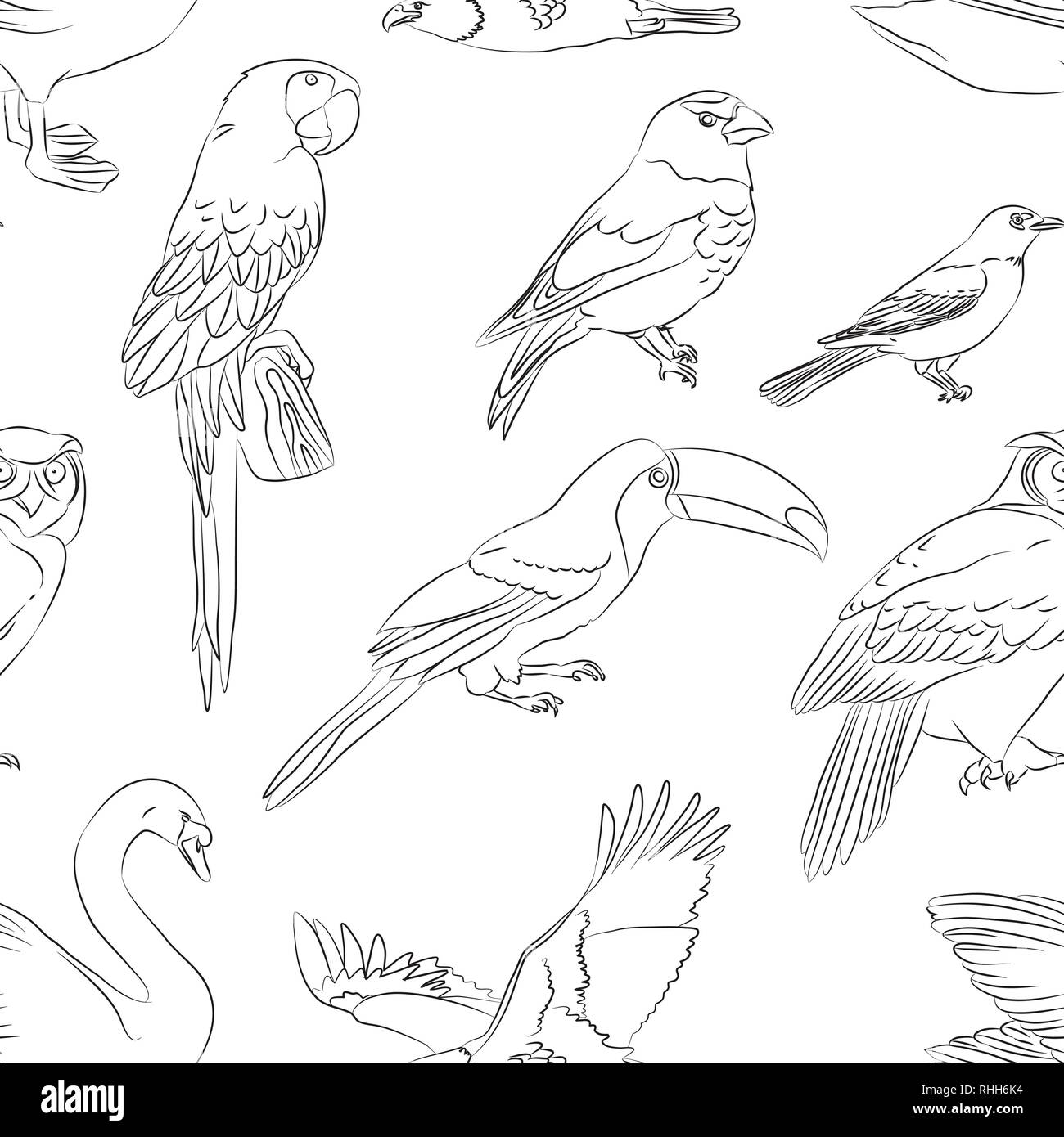 Bird set colorful pattern. Vector illustration, EPS 10 Stock Vector
