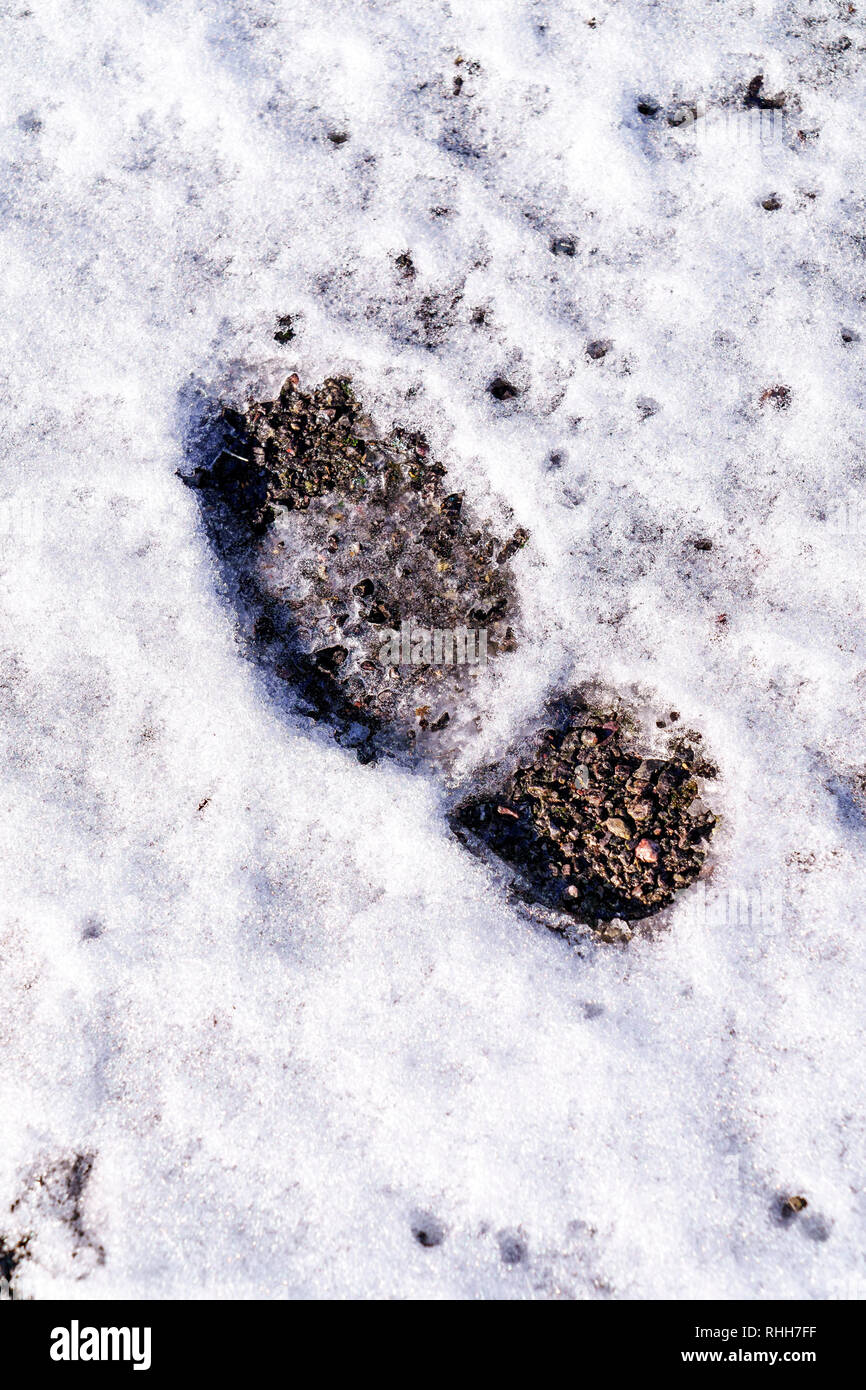 Foot print in snow Stock Photo