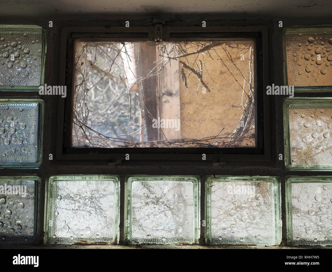 Glass bricks blocks with bubble pattern in window architecture detail