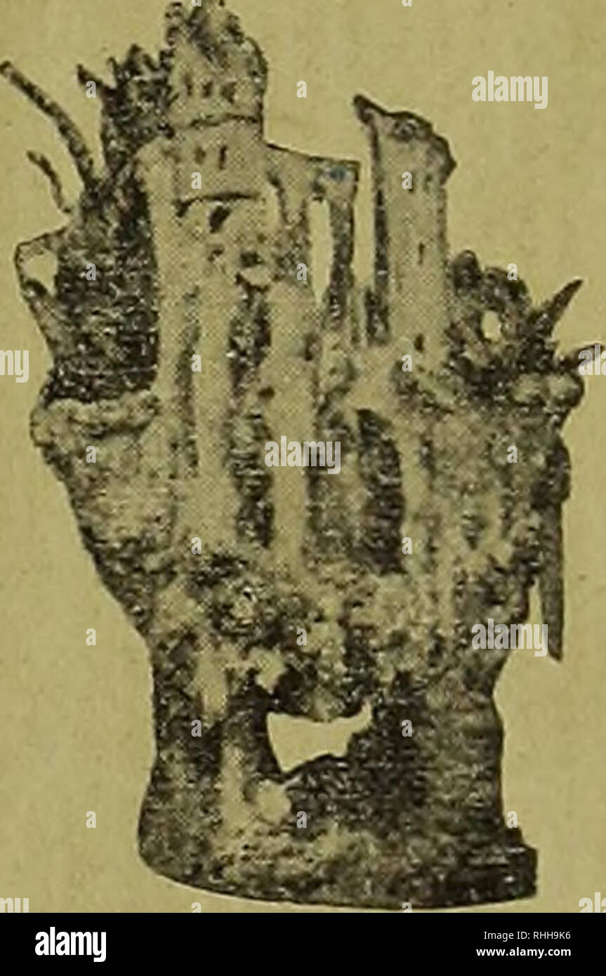 Fensterbrett High Resolution Stock Photography And Images Alamy