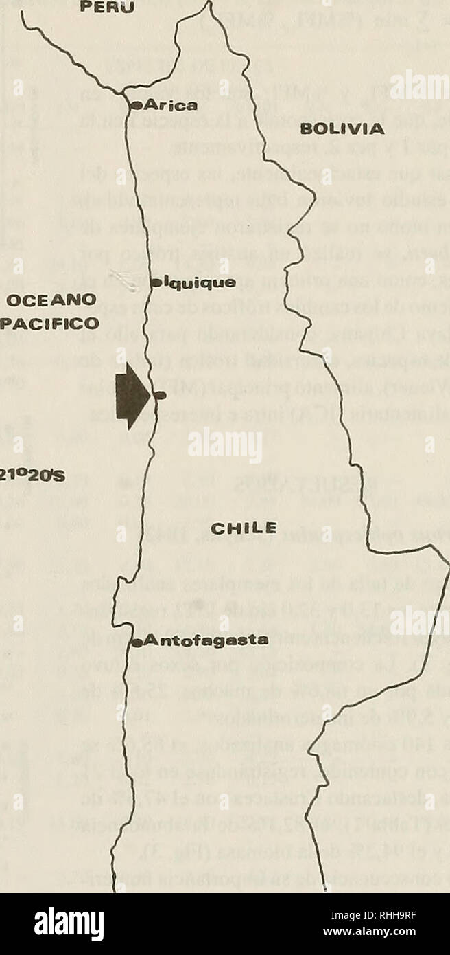 . Boletin de la Sociedad de Biología de Concepción. Sociedad de Biología de Concepción; Biology; Biology. -21°2as 2km =1 70°0SfW. Figura 1. Ubicación del área de estudio: Playa Chipana (21° 19'S; 70°04'W). Los métodos de análisis, corresponden a los usuales en este tipo de estudio (Windell, 1971; Berg, 1979; Hyslop, 1980; Silva y Stuardo, 1985; Zander, 1982; Tarazona et al., 1988; Cárdenas y Pequeño, 1995): métodos numérico (N), frecuencia de ocurrencia (F), y gravimétrico (G). La combina- ción de estos métodos permitió determinar las presas principales a través del índice de alimento principa Stock Photo