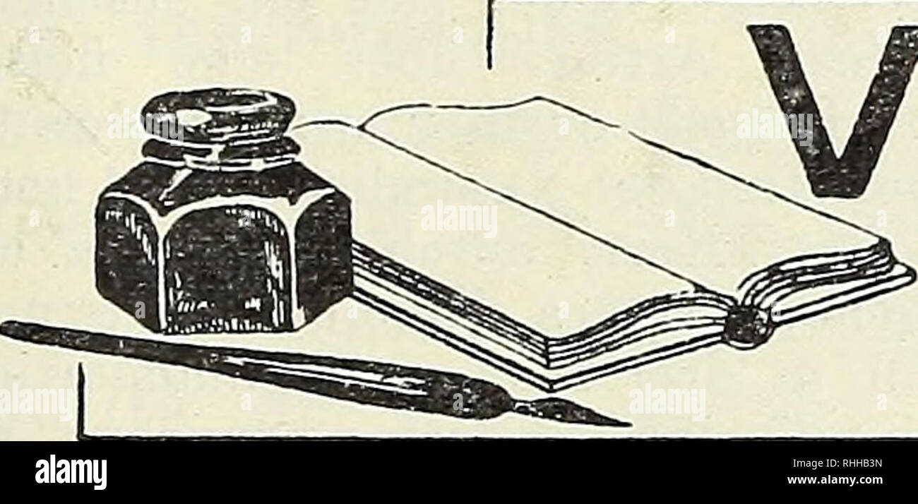 Download Anhaften Free