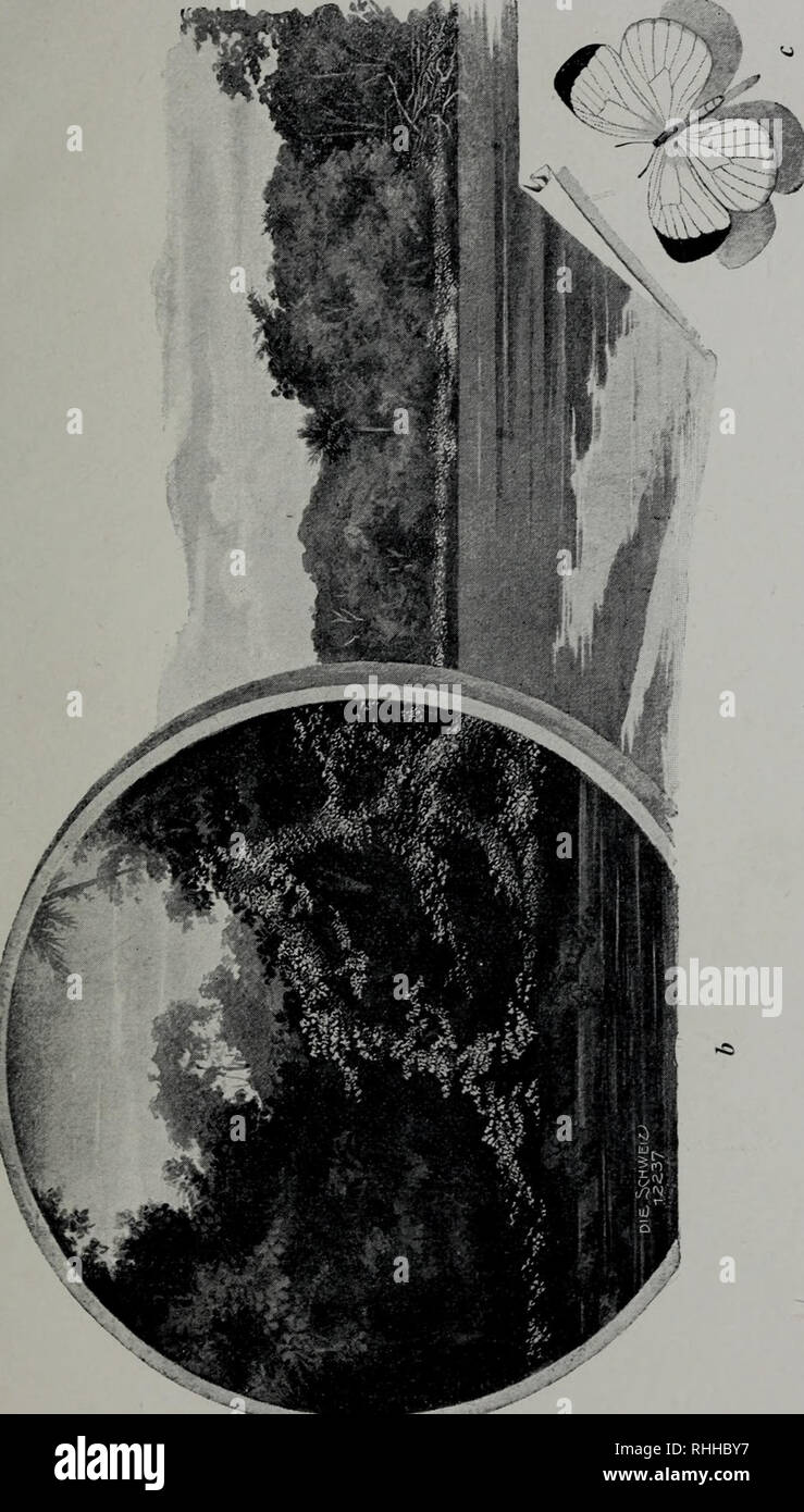 Bjc High Resolution Stock Photography And Images Alamy