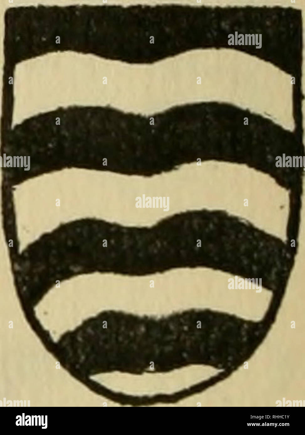 The Boke Of Saint Albans Horses Falconry Hunting Heraldry Incunabula W Ot T Iffctcticc Hot Ag Foxti Cg0pki Aimie Afote Gcfl Ac Gto Lt Bigttuicc Fie Ch 3 P Toi Cwtct Ak Qsiiglicepc