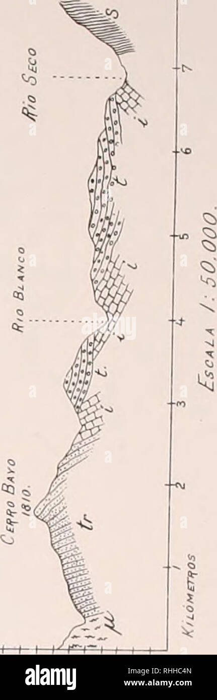 Boleta N Science Ll 5 5 A Iu O A B A I O I Lt I V K Please Note That These Images Are Extracted From Scanned Page Images That May