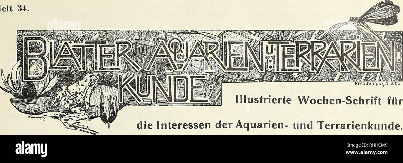 Blatter Fur Aquarien Und Terrarien Kunde Jahrgang Xylli Heft 34 Illustrierte Wochen Schrift Fur Die Interessen