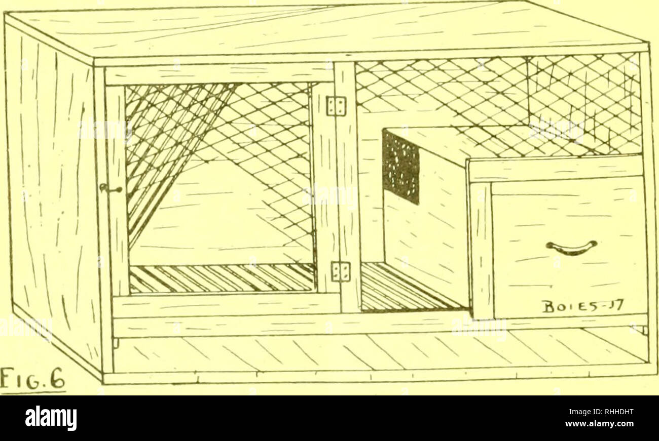 Twenty lari hi-res stock photography and images - Alamy