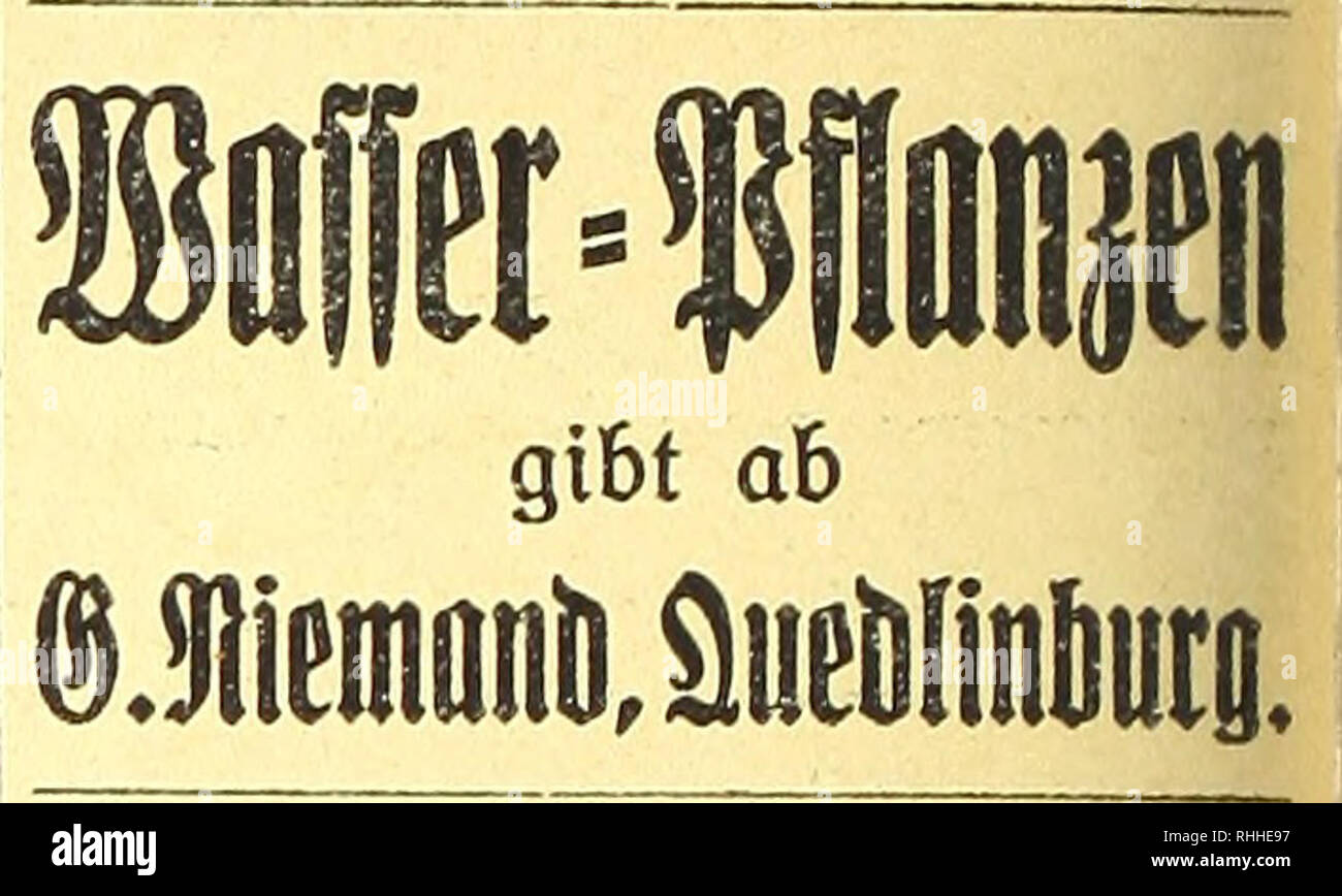 . BlÃ¤tter fÃ¼r Aquarien- und Terrarien-Kunde. Zwecks Herstellung-von Diapositiven suche ich gute photographische von Aquarien- oder Terrarien- tieren, bes. Seetieren, leihweise oder kÃ¤uflich zu erwerben. Albert Wendt, Rostock Bei den PolizeigÃ¤rten 2. MehlwÃ¼rmer ausverkauft! Gsirochneie Daphnien 1919 Geg.Einsend, von MZ.â 4/ioL. fr. D. Wasdiinsky h Co. - Itathal kl Berlin. =2^&amp;Â£* ,yiiu99ina9aJep|c zu Hamburg Verein fÃ¼r Aquarien- und Terrarienfreunde E.V. Hill IMIIlllll lllllllllllllllllllll MIlllllMIIIMIIIIIIIIIIItlMIIIIIIIIIMIMIIItlf Mlllllllllllllllllllllll Versammlung bis auf weite Stock Photo