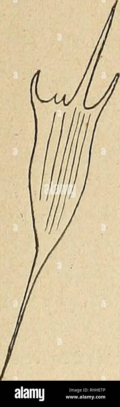 2 185 Stock Photos 2 185 Stock Images Page 9 Alamy