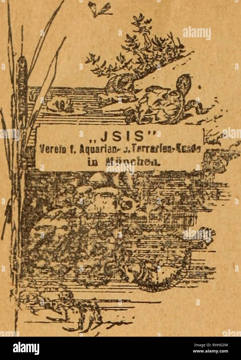 cim Pornos