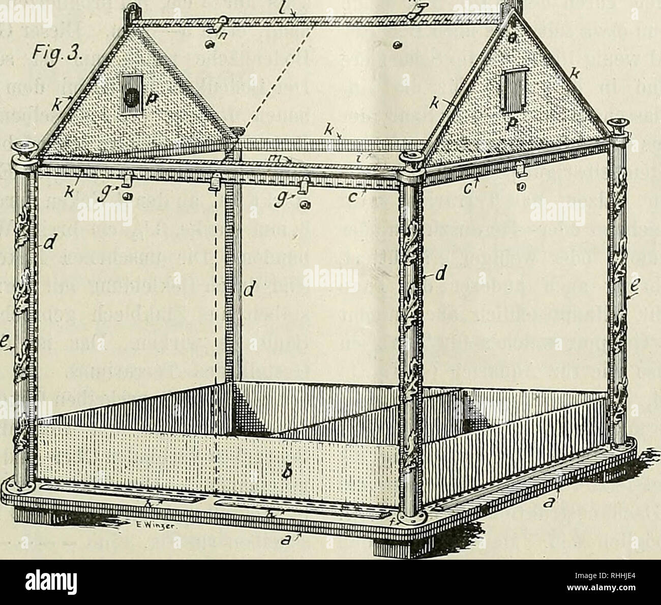 . Blätter für Aquarien- und Terrarien-Kunde. Ernst Winzer: Über Terrarien. 191 Gazefenster und dem nach Bedarf vorgenommenen Bespritzen der Pflanzen mit dem Zerstäuber ge- diehen diese und die Tiere sehr. Hiernach kann ich jedem raten, ein irgendwie mißliebig ge- wordenes Aquarium in ein Terrarium um- zuwandeln. Nun wollte ich aber auch gern noch Echsen halten und dazu brauchte ich noch ein weiteres, ein trockenes Terrarium. Ich kaufte ein sol- ches fertig, wel- ches nur ein wenig kleiner waralsdaseben beschriebene. Manches, was mir davon miß- fiel, ließ ich sofort ändern. U. a. ließ ich an de Stock Photo