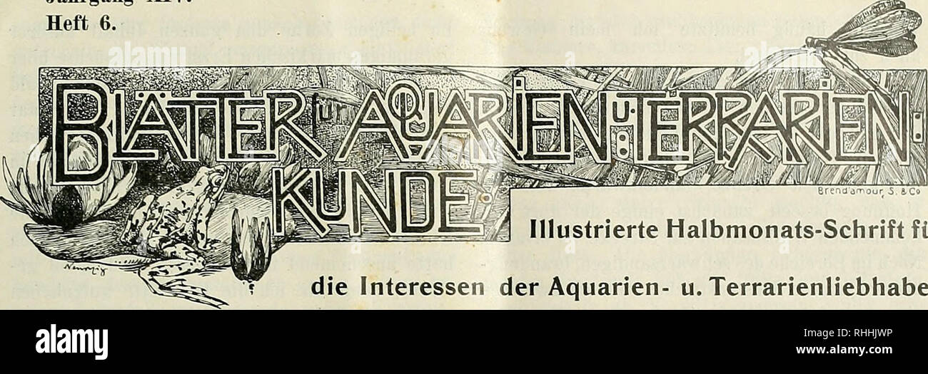 Haus Der Jagd Stock Photos Haus Der Jagd Stock Images Alamy