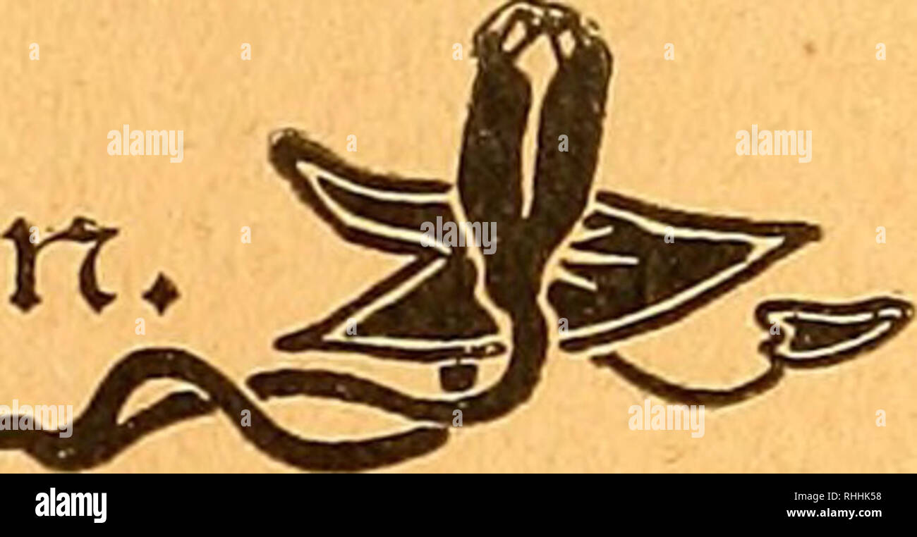 Pa Oh Stock Photos Pa Oh Stock Images Page 4 Alamy