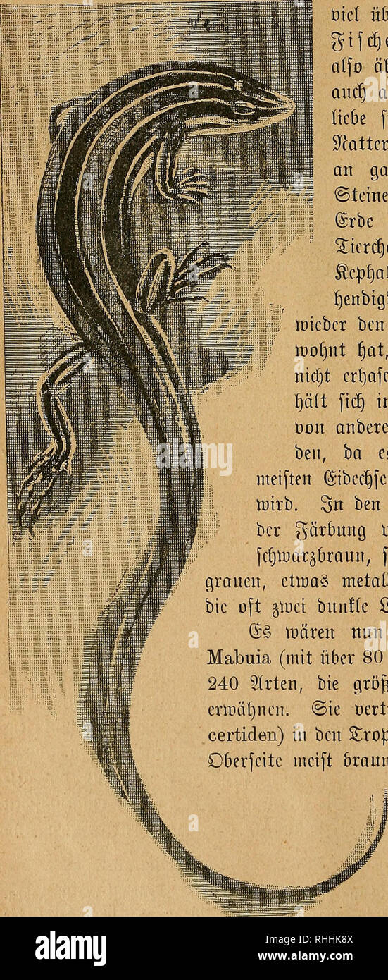 Französin Sanny Wird In Den Mund & Arsch Gefickt Französin Sanny Wird In Den Mund & Arsch Gefickt