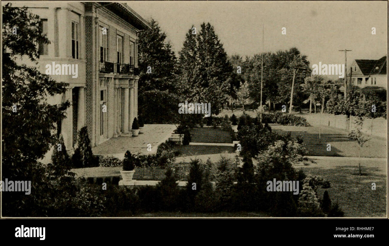 . The blossom circle of the year in southern gardens. Gardening. 56 THE BLOSSOM CIRCLE OF THE YEAR. EFFECTIVE USE OF CONIFERS ON A FORMAL TERRACE Abelias, Ligustrum and Pittosporum define the terrace and lawns and Biota aurea nana is used in the jars. Please note that these images are extracted from scanned page images that may have been digitally enhanced for readability - coloration and appearance of these illustrations may not perfectly resemble the original work.. Dillon, Julia Lester. New York, N. Y. , A. T. De La Mare Co. Stock Photo