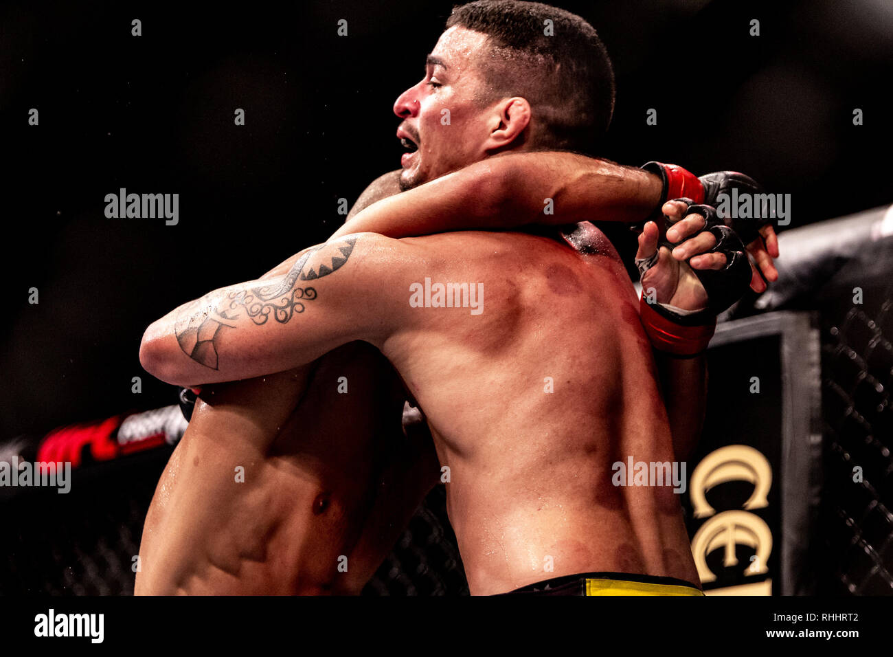 Fortaleza, Brazil. 2nd Feb 2019. Geraldo Freitas faces Caboc during the ...