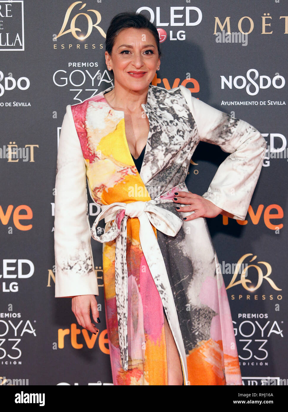 Sevilla, Spain. 2nd Feb 2019. Mariola Fuentes attends Goya Cinema