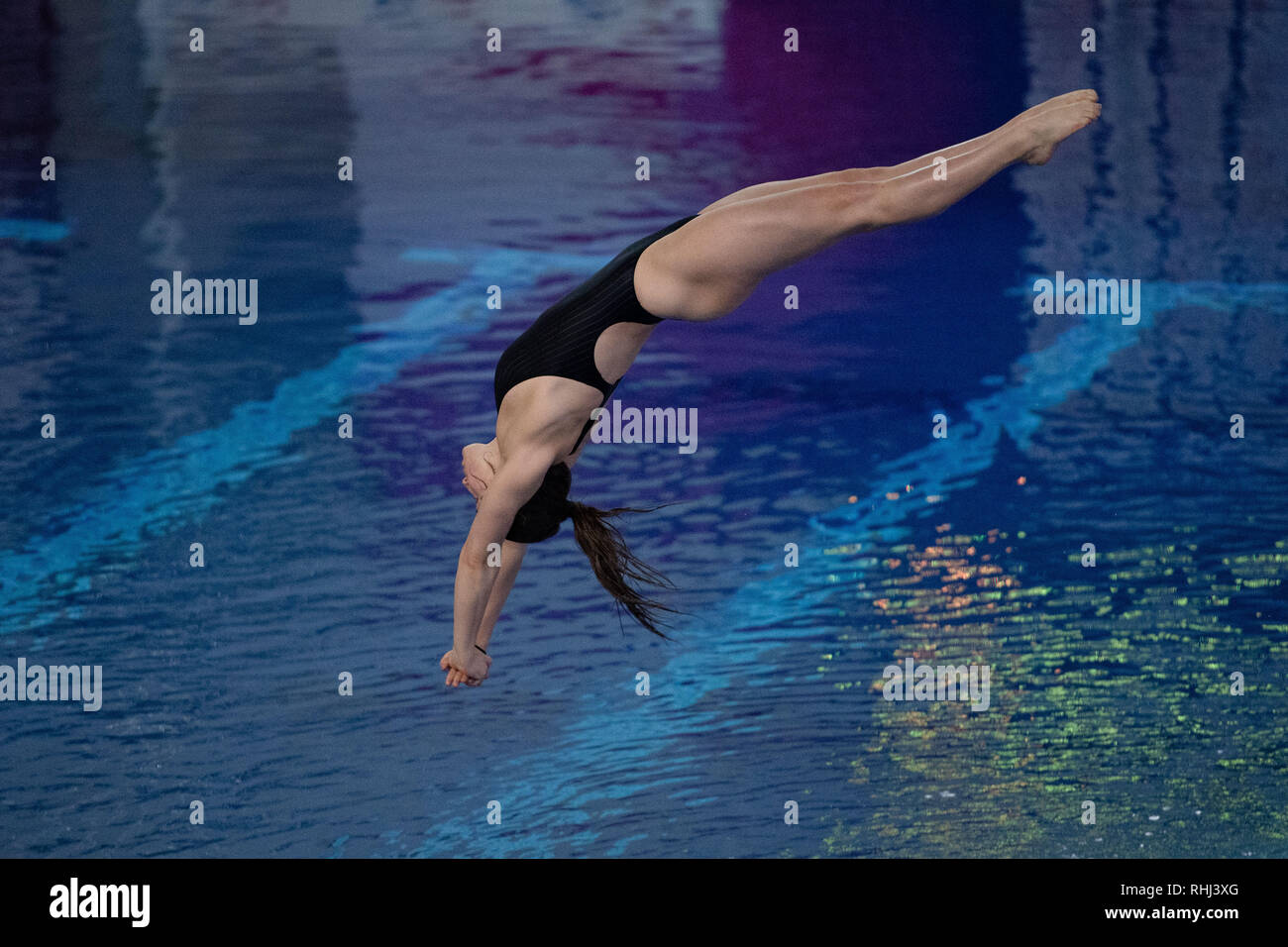 Plymouth, UK. 3rd Feb 2019. Evie Webb - COSD in Women 3M Preliminary during British National Diving Cup 2019 at Plymouth Life Centre on Sunday, 03 February 2019. PLYMOUTH ENGLAND.  (Editorial use only, license required for commercial use. No use in betting, games or a single club/league/player publications.) Credit: Taka G Wu/Alamy News Credit: Taka Wu/Alamy Live News Stock Photo