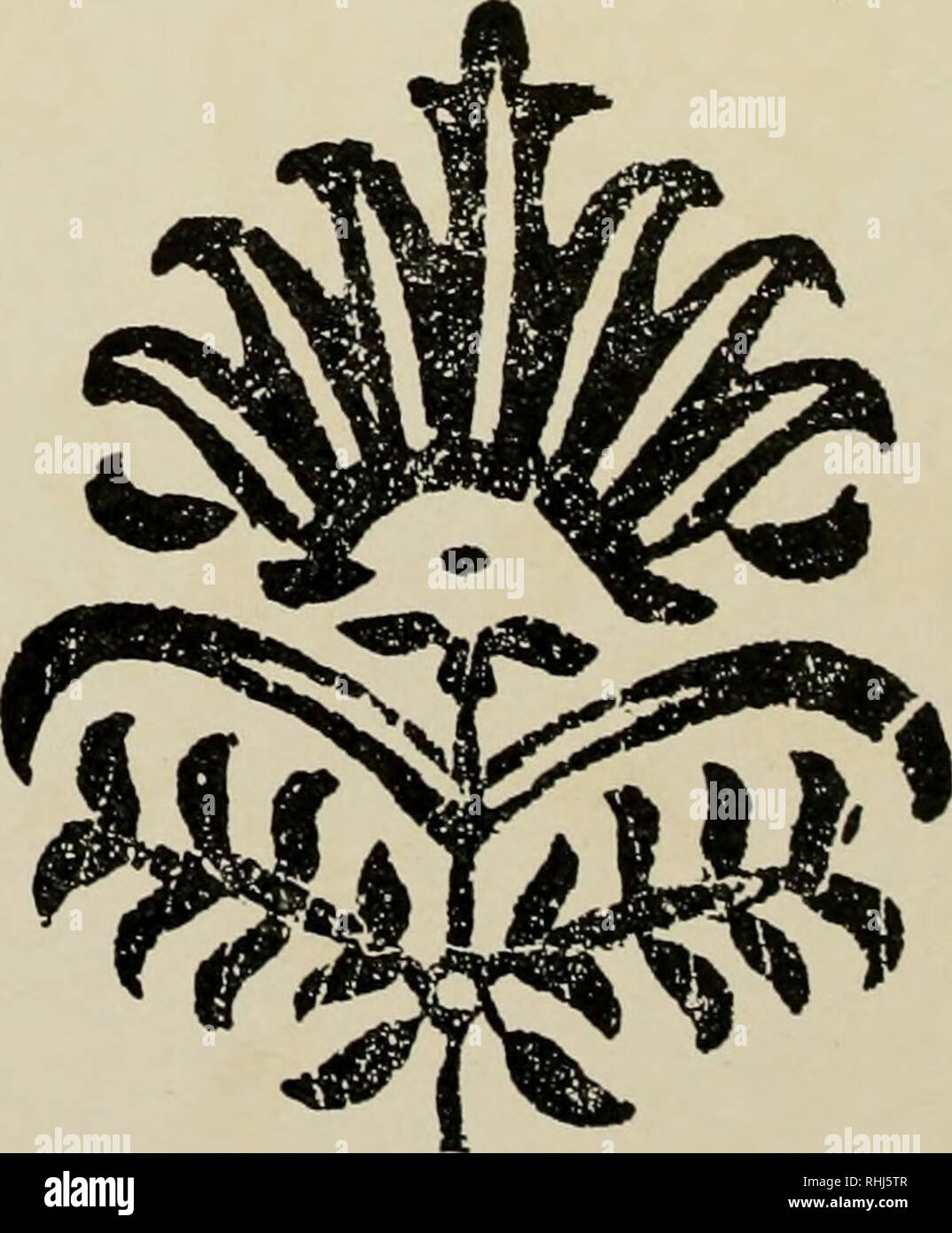 Block Prints From India For Textiles Textile Design Textile Fabrics India Decoration And Ornament Anthropology Design Series No 1 Plate Xxiii 1 Lb Block Prints From India Special Designs Figs I