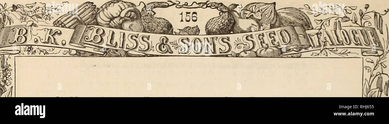 B K Bliss And Son S Illustrated Spring Catalogue And Amateur S Guide To The Flower And Kitchen Garden