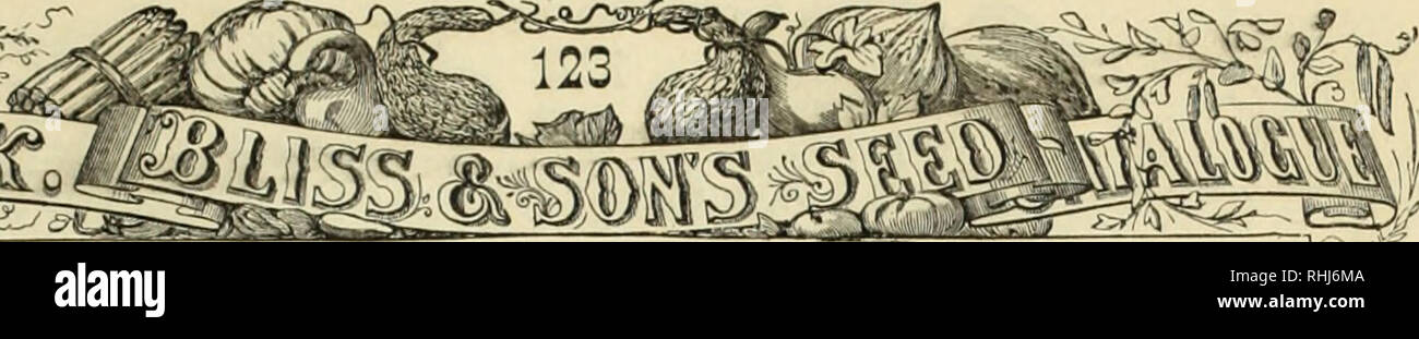 Ena Stock Photos Ena Stock Images Page 7 Alamy