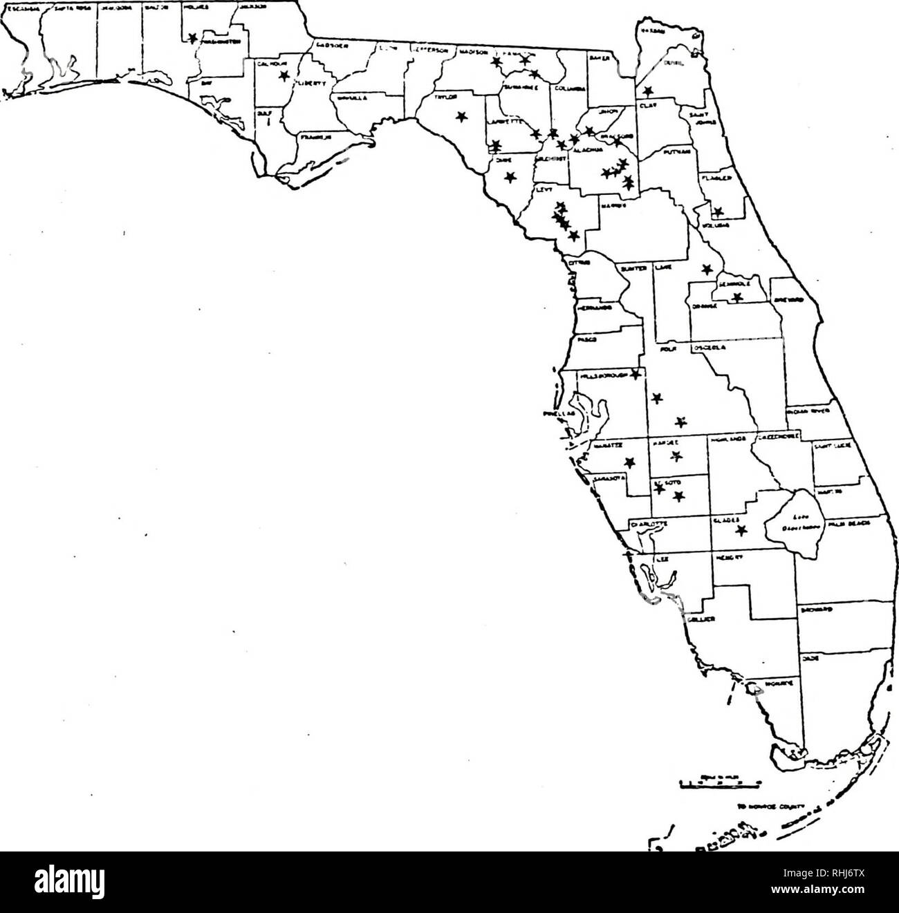 . Black flies (Diptera : Simuliidae) of Florida and their involvement in the transmission of Leucocytozoon smithi to turkeys. Flies. -201-. Figure 89. Collection locations for S. taxodium in Florida.. Please note that these images are extracted from scanned page images that may have been digitally enhanced for readability - coloration and appearance of these illustrations may not perfectly resemble the original work.. Pinkovsky, Dennis Drew, 1947-. Stock Photo