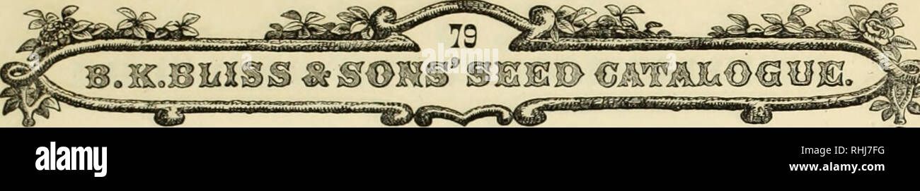 Serpent Like High Resolution Stock Photography And Images Alamy