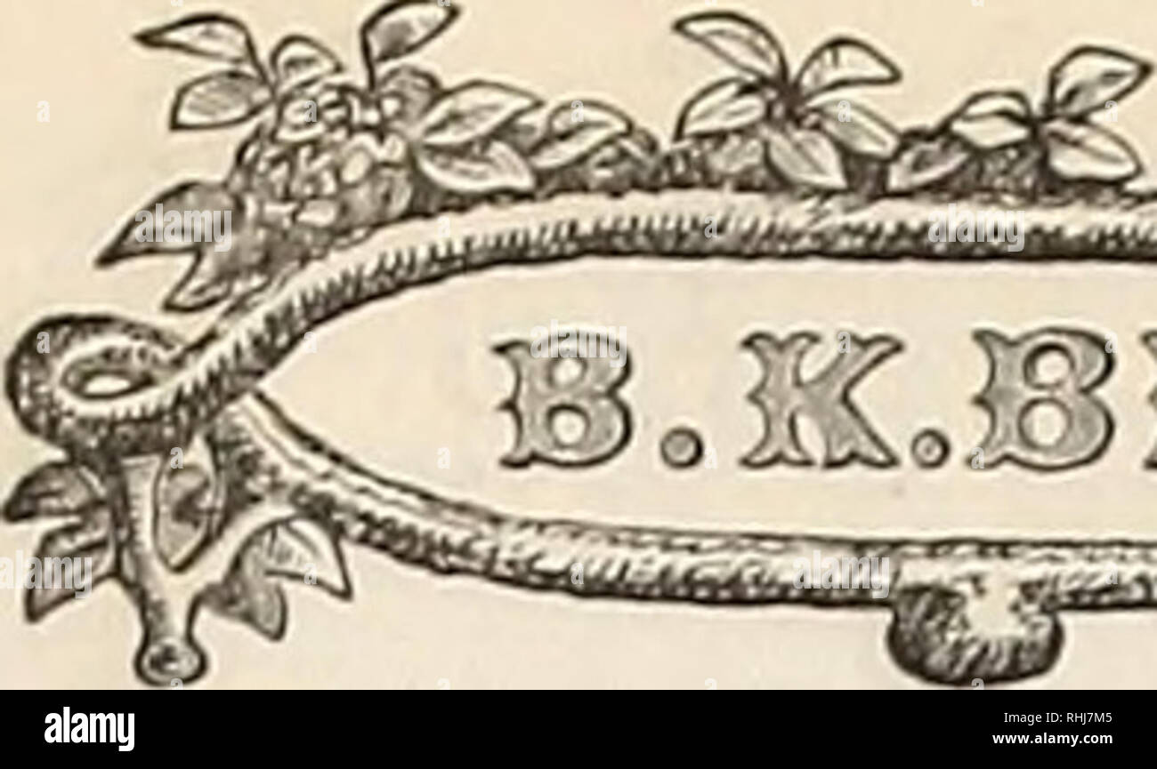 . B.K. Bliss and Son's illustrated spring catalogue and amateur's guide to the flower and kitchen garden. Flowers Catalogs; Plants Catalogs; Vegetables Seeds Catalogs; Gardening Catalogs. a ^^ns' SUSHIS) ^mm^ POPULAR OK SCIKNTIFIC NAME. STOCKS.—(Continued.) IMPERIAL, OR EMI'EIMJK STOCKS.t This beautiful class of Stocks, if sown early in Spring, bloom tlie same Autumn ; and for Spring-flowering slioold be sown from tlie end of June to the end of July. TlJey fre(iiiently last for several years. Half-luirdii jicn nniah. Cult. e. No. 12(17 Stocks German Imperial, or pernetual, new, large-flowering Stock Photo