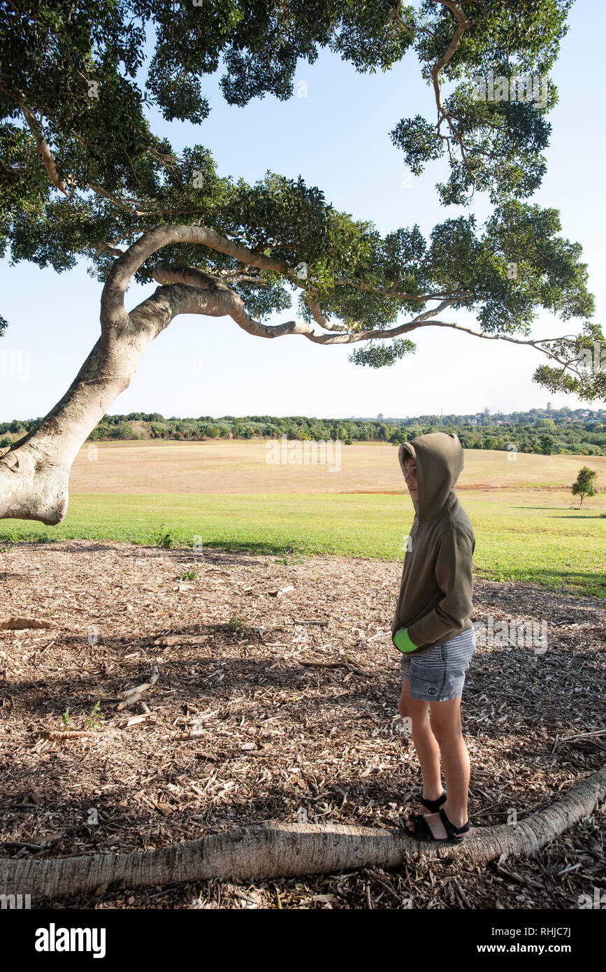 Young boy in a hooded jacket, under a large fig tree branch, Wollongbar