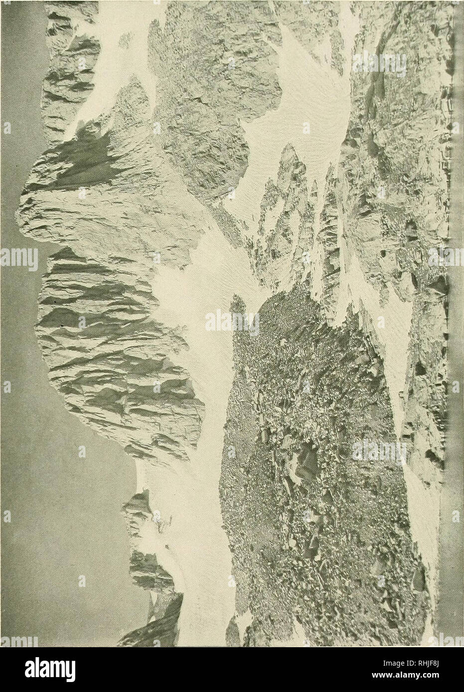 Be In Love With Sb High Resolution Stock Photography And Images Alamy