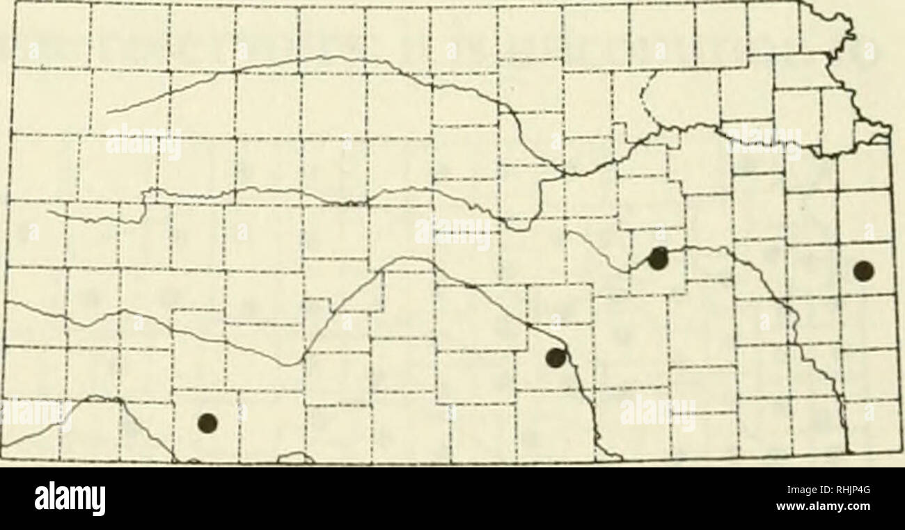 Bob lilly hires stock photography and images Alamy