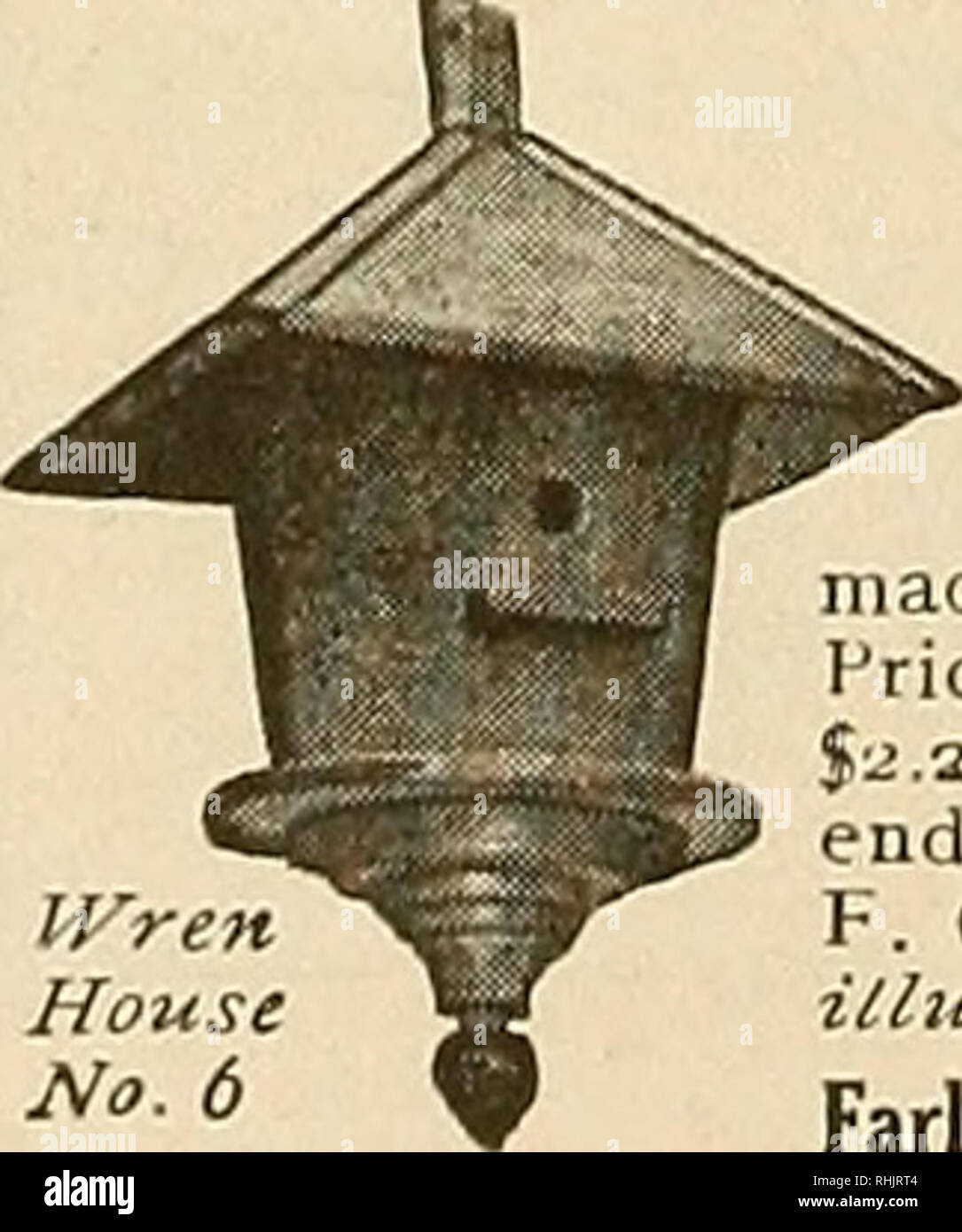 . Bird lore. Birds; Birds; Ornithology. $5 For This 4-Rooni Bluebird