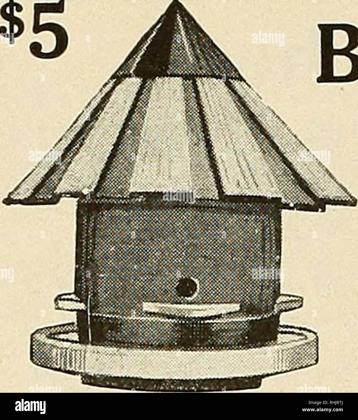 . Bird lore. Birds; Birds; Ornithology. $5 For This 4-Rooni Bluebird