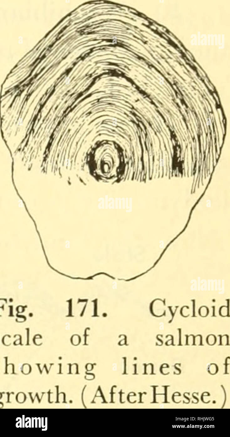 Cycloid scale hires stock photography and images Alamy