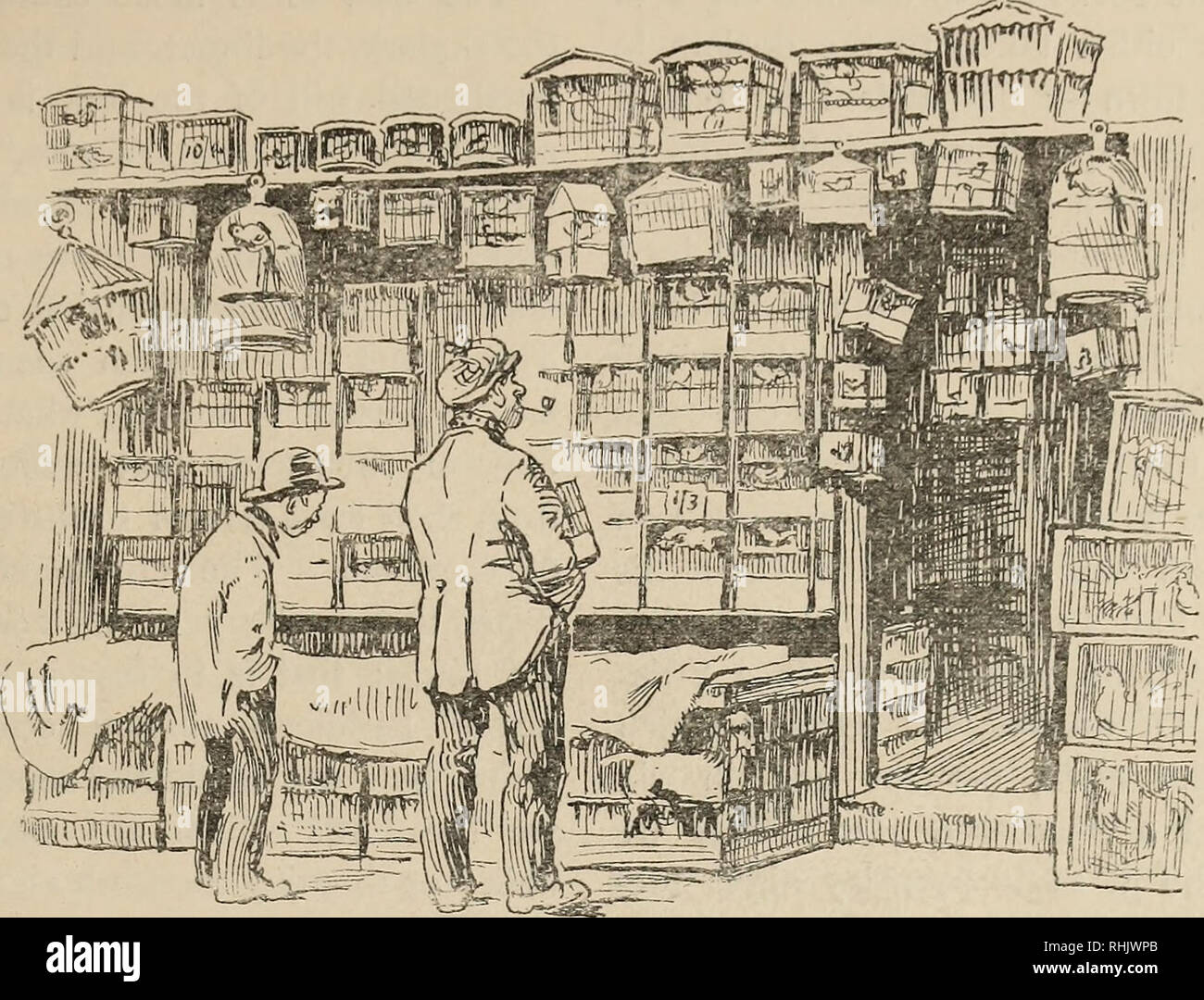 Plume Trade Stock Photos Plume Trade Stock Images Alamy
