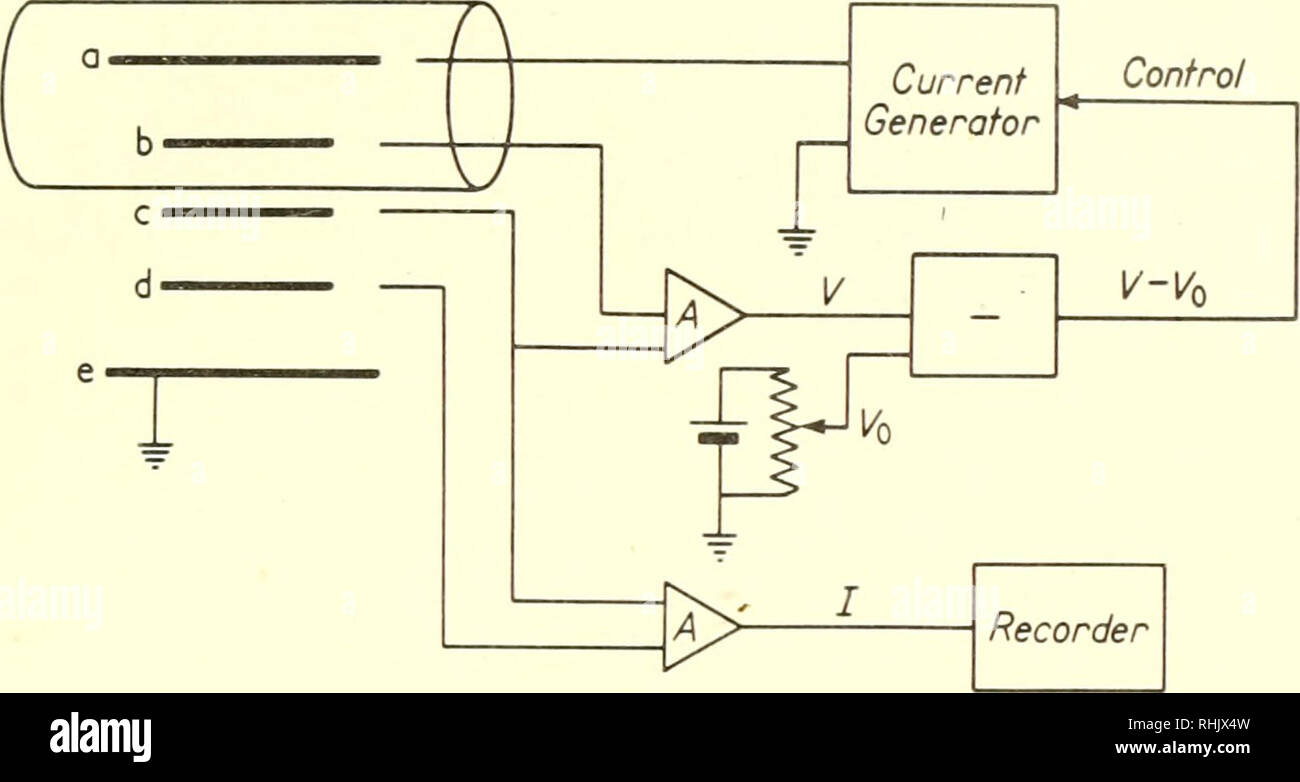 . Biophysical science. Biophysics. 24 4/ The Molecular Basis of Nerve Conduction 449 threshold